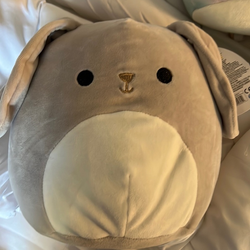 8 inch Valentina Squishmallow